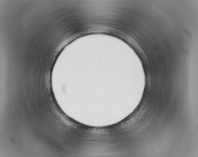 X0000110770842200907271202