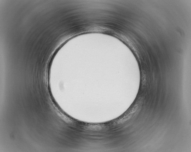 X0000110770843200907271202