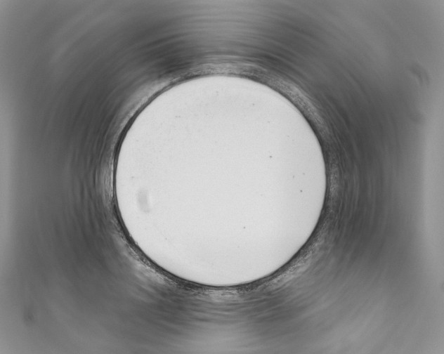 X0000110770844200907271202