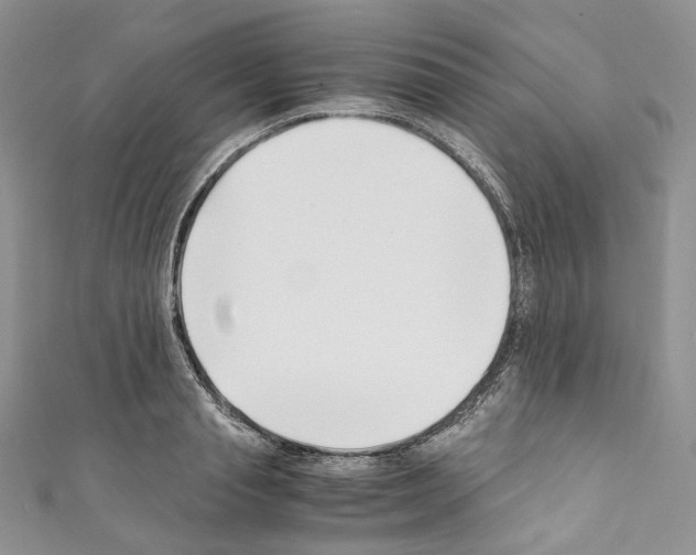 X0000110770845200907271202