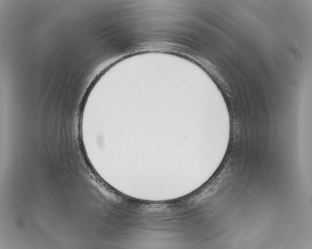 X0000110770846200907271202