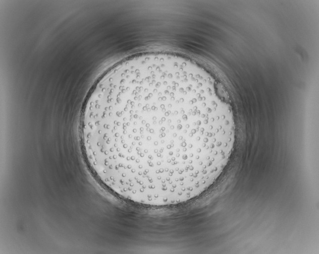 X0000110770847200907271202