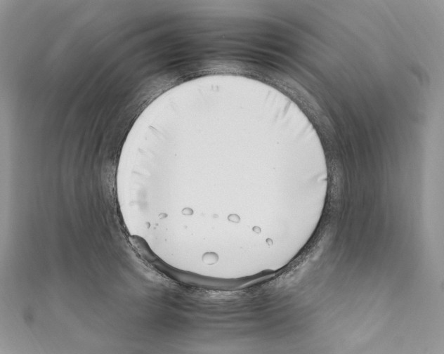 X0000110770849200907271202