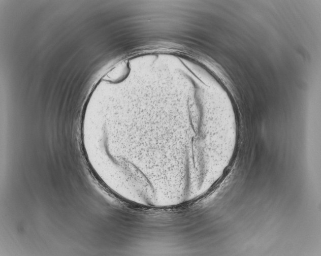 X0000110770850200907271202