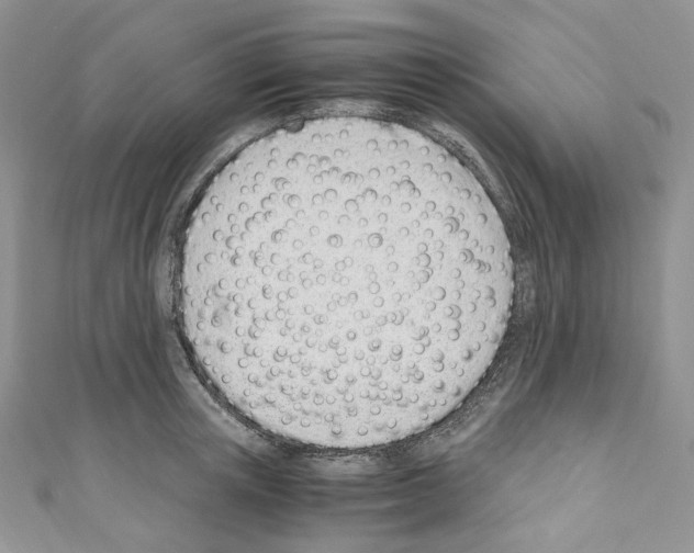 X0000110770851200907271202