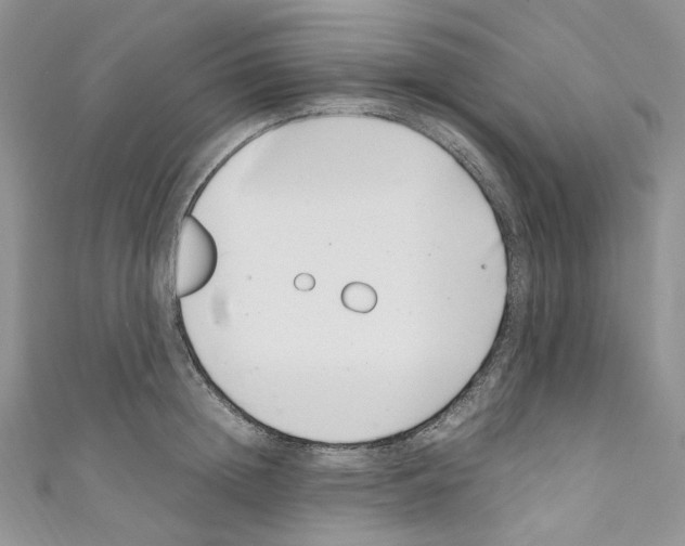 X0000110770852200907271202