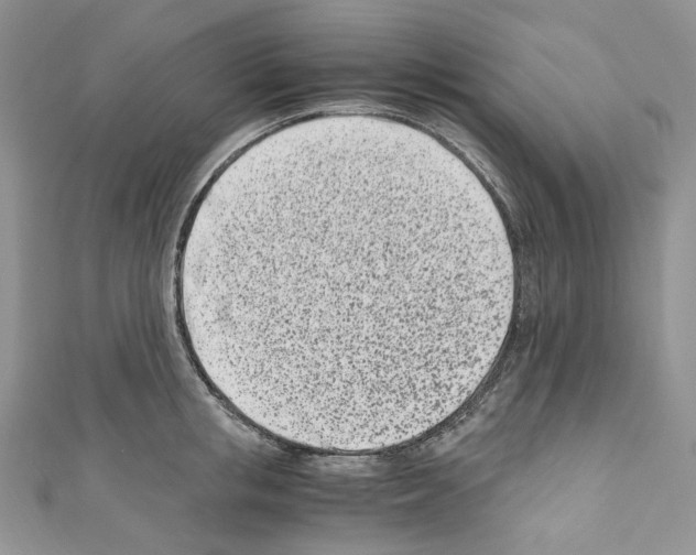 X0000110770853200907271202