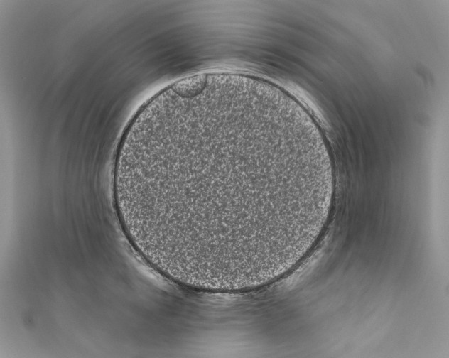 X0000110770854200907271202