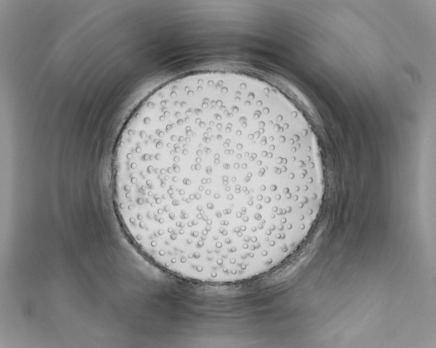 X0000110770855200907271202