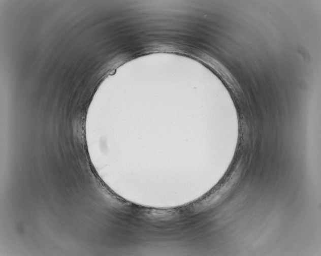 X0000110770857200907271203