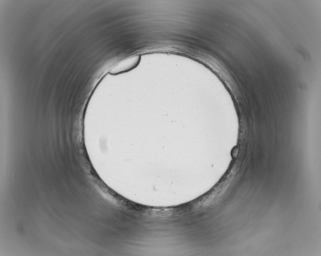 X0000110770858200907271203