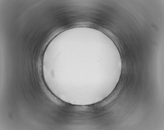 X0000110770859200907271203