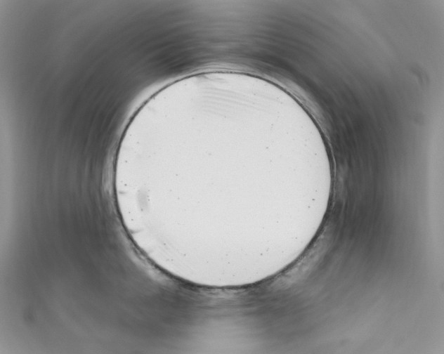 X0000110770862200907271203