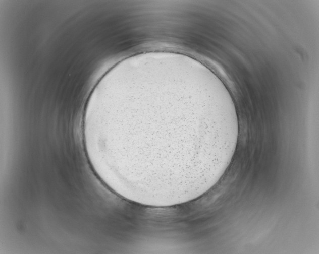 X0000110770863200907271203