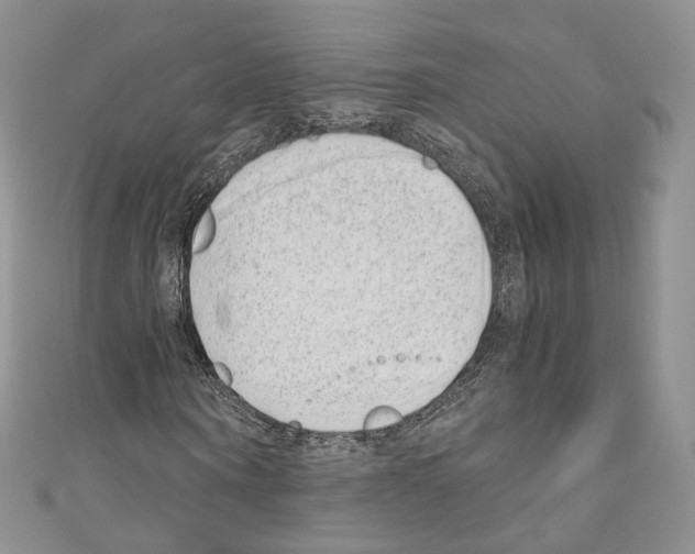 X0000110770866200907271202