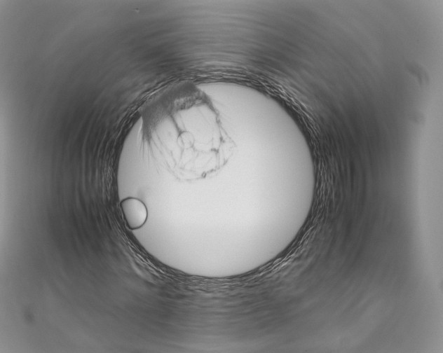 X0000110770868200907271202