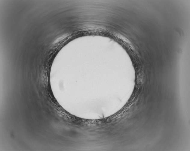 X0000110770869200907271202