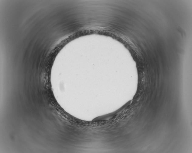 X0000110770872200907271202