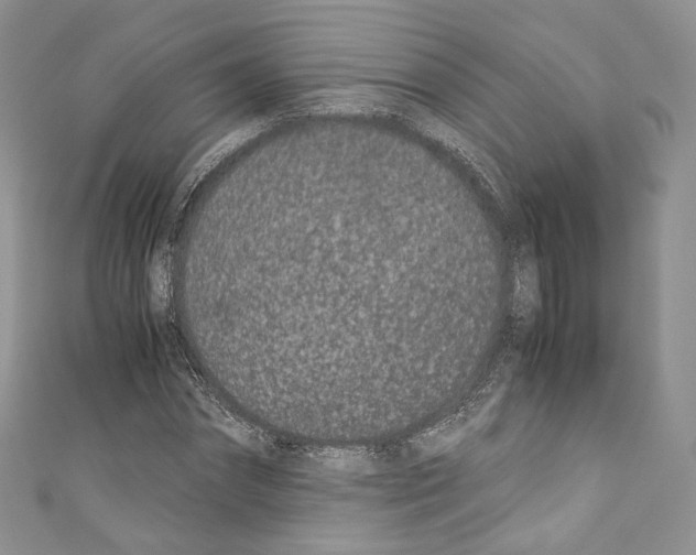 X0000110770874200907271202