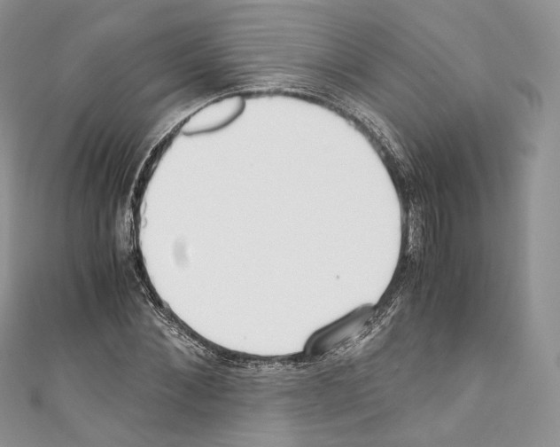 X0000110770876200907271202