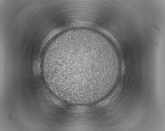 X0000110770878200907271202