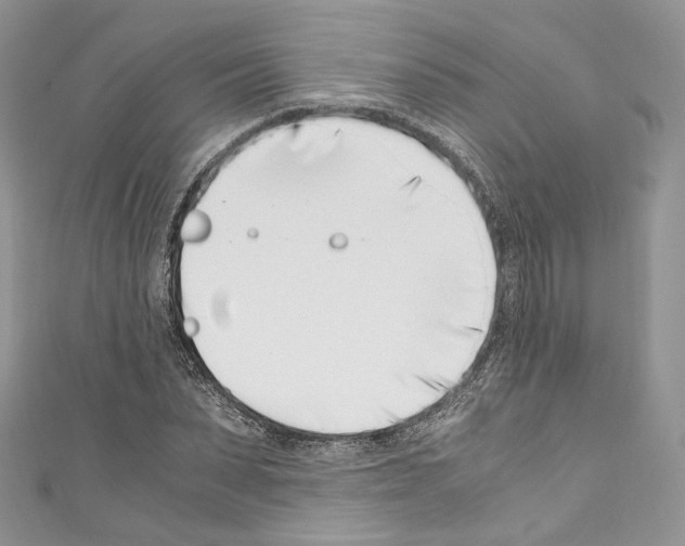 X0000110770879200907271202