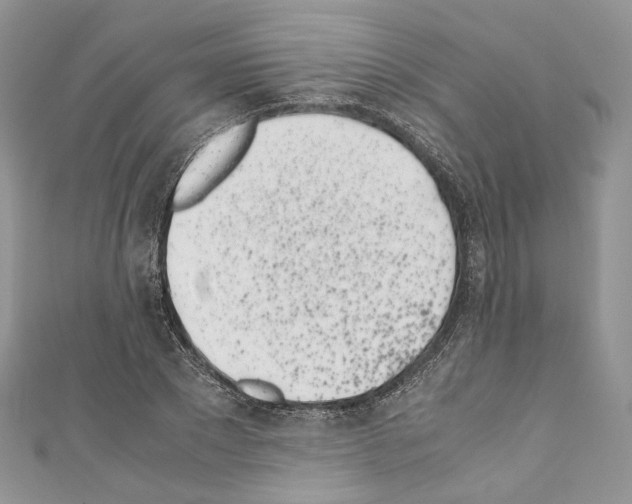 X0000110770881200907271202