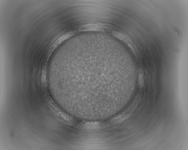 X0000110770882200907271202