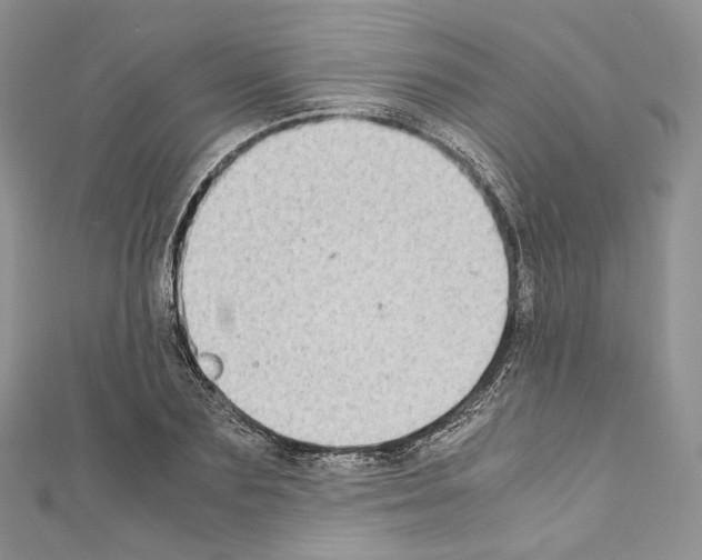 X0000110770883200907271202