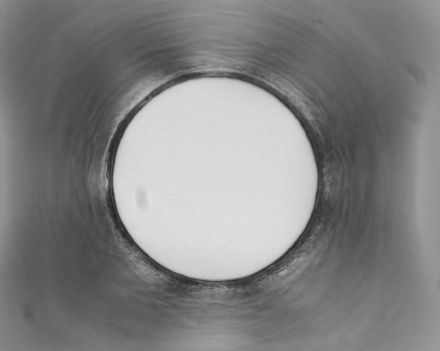 X0000110770885200907271202