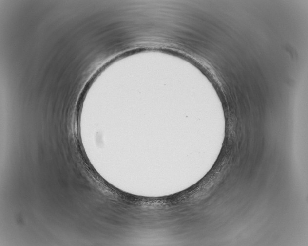 X0000110770887200907271202