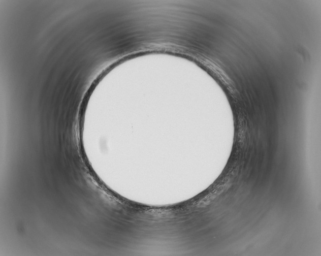 X0000110770888200907271202