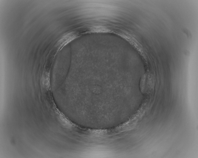 X0000110770889200907271202