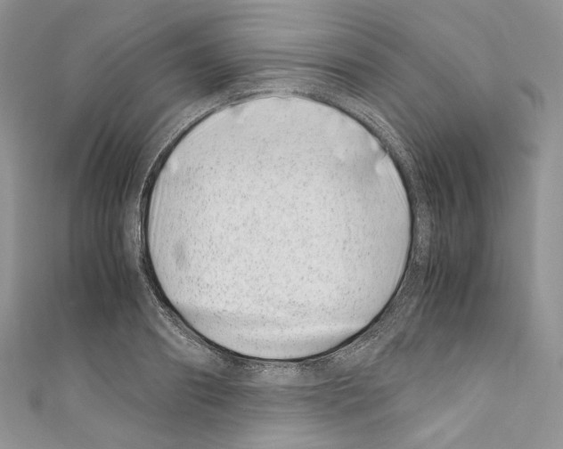 X0000110770890200907271202