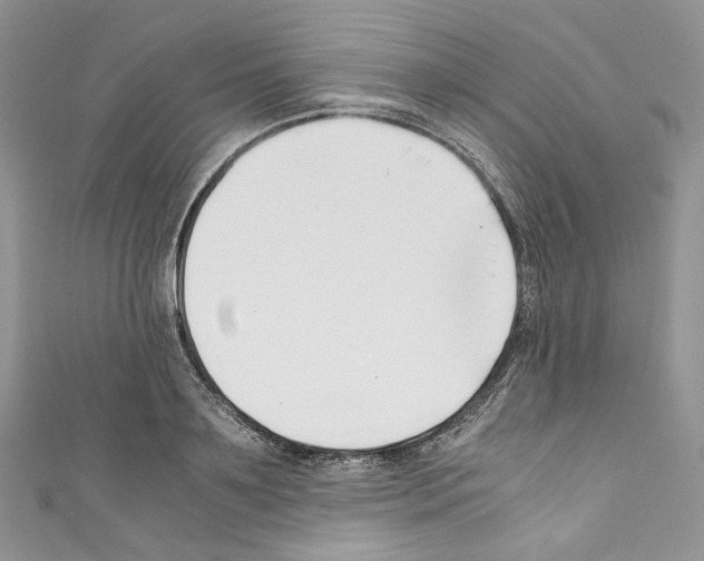 X0000110770891200907271202