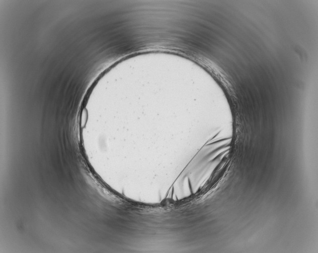 X0000110770892200907271202