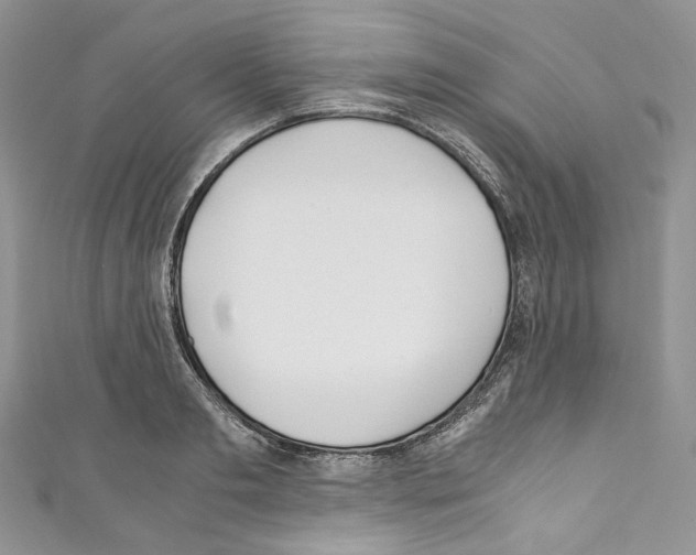 X0000110770893200907271202