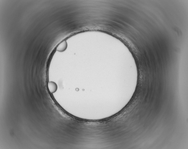 X0000110770894200907271202