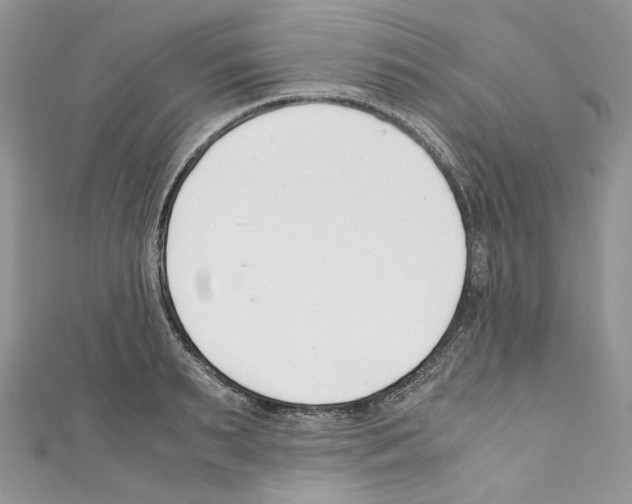 X0000110770895200907271202