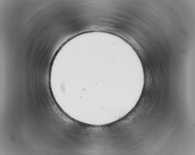 X0000110770896200907271202