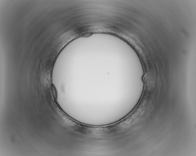 X0000110770897200907271202