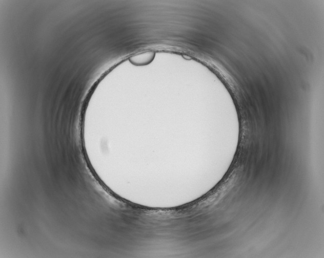 X0000110770902200907271201