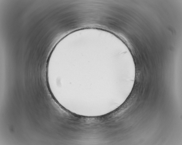 X0000110770903200907271201