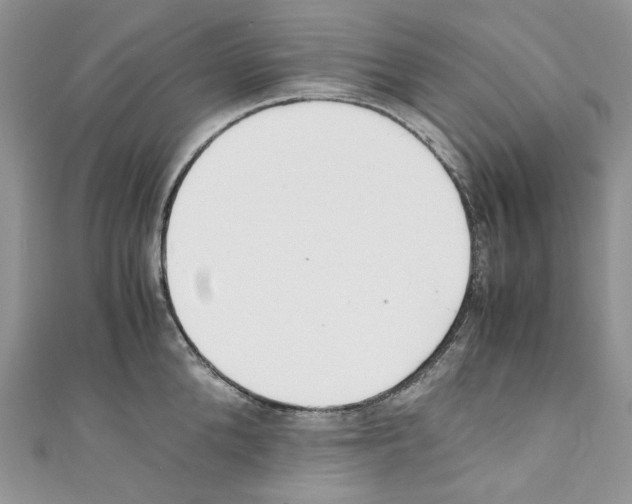 X0000110770904200907271201