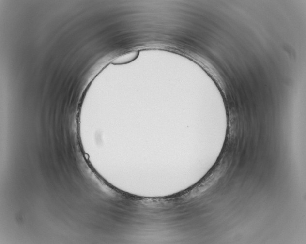 X0000110770906200907271201