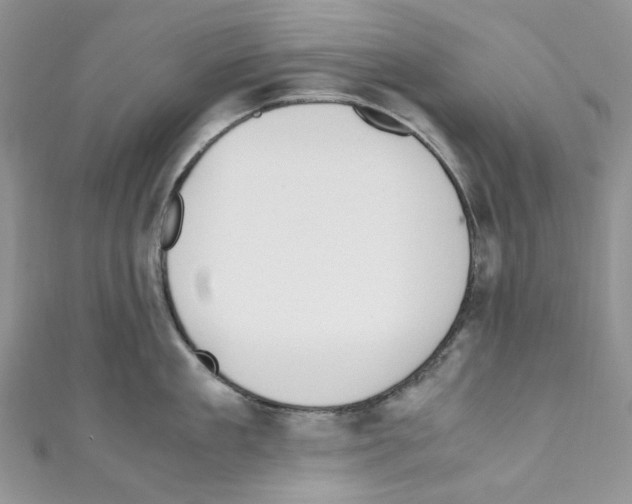 X0000110770909200907271201