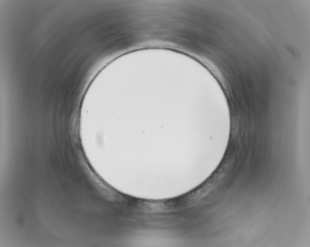 X0000110770911200907271201