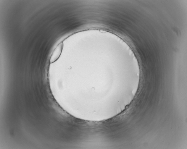 X0000110770912200907271201