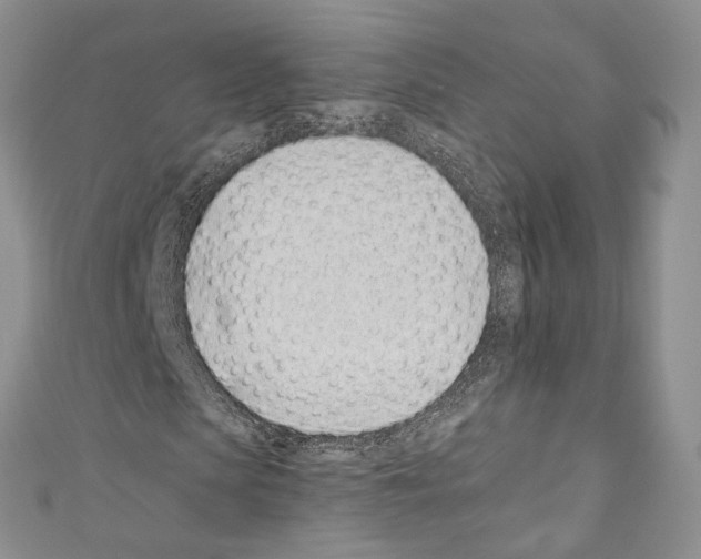 X0000110770913200907271201