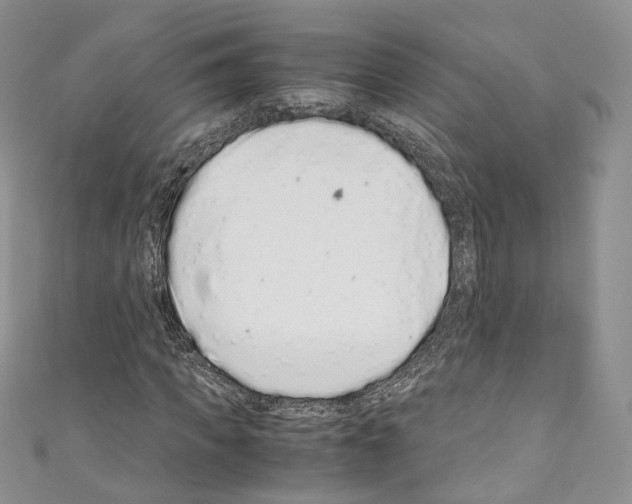 X0000110770917200907271201